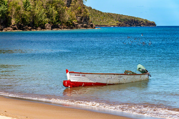 A photo of a local fisherman's boat that just came ashore with the morning catch
