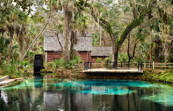Juniper Springs 2