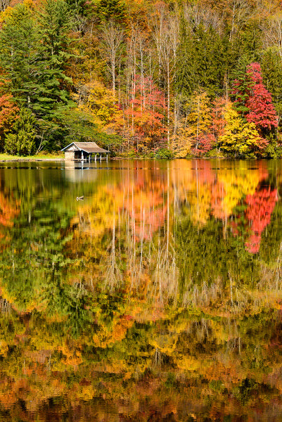 A Landscape Photograph by Fine Art Photographer Mike Ring of Fall color reflecting off of Lake Logan.