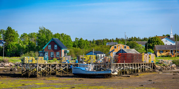 Beals Island 3