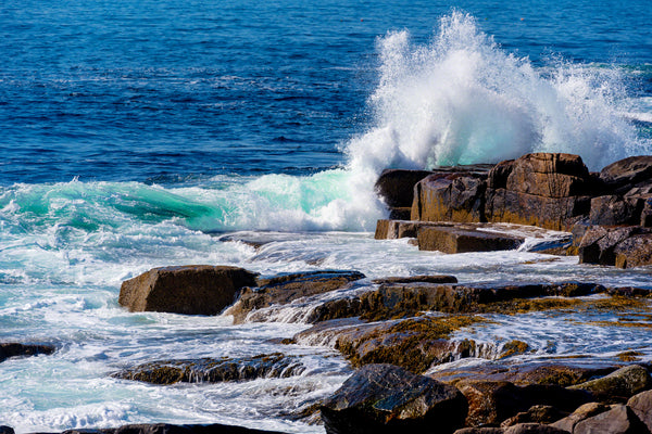 Schoodic Point 2