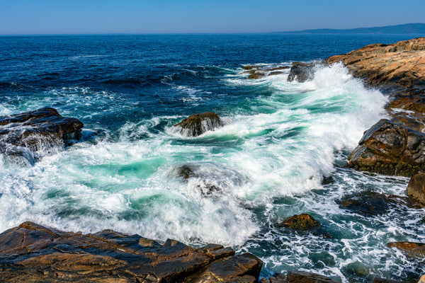 Schoodic Point 5