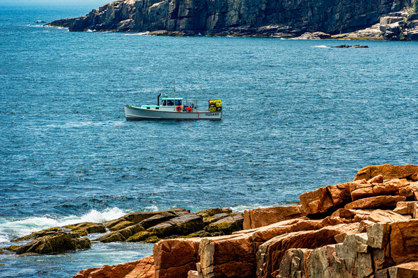 Acadia National Park 2