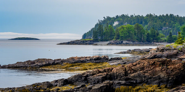 Bar Harbor