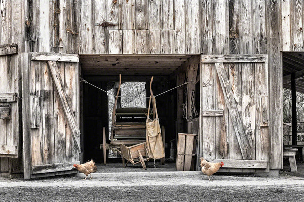 A photo of Marjorie Kinnan Rawling's historic home and barn