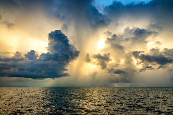 Natures Fury