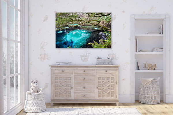 Juniper Springs