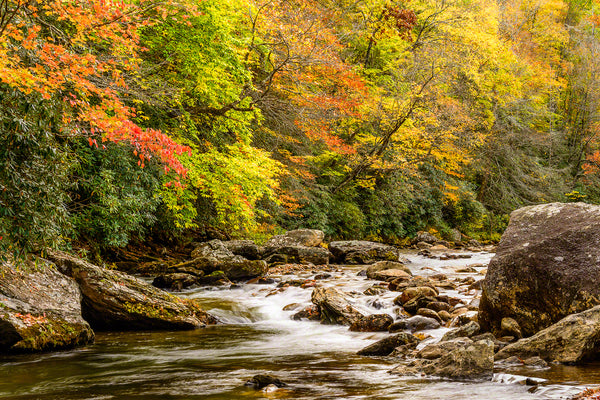 Pigeon River
