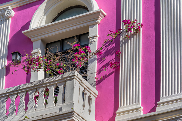 Puerto Rico 8