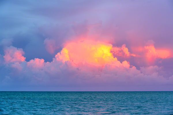 Purple Isle 1