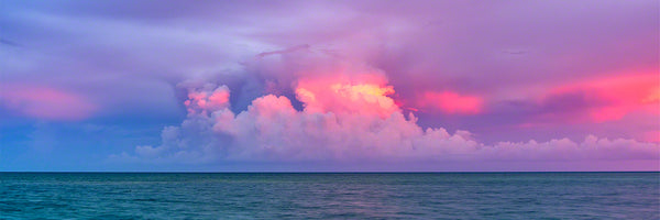 Purple Isle 2