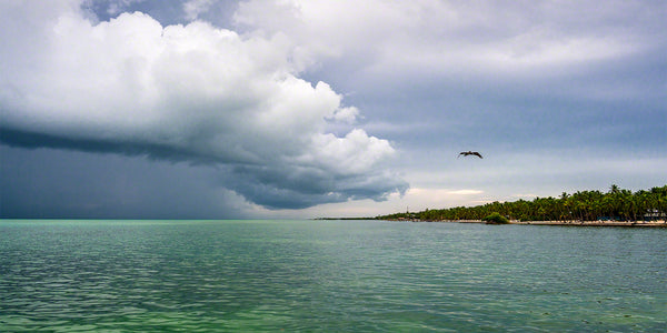 Storm Chaser