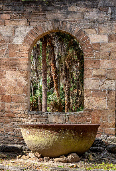 A photo by Mike Ring of Sugar Mill Ruins in New Smyrna Beach, Florida
