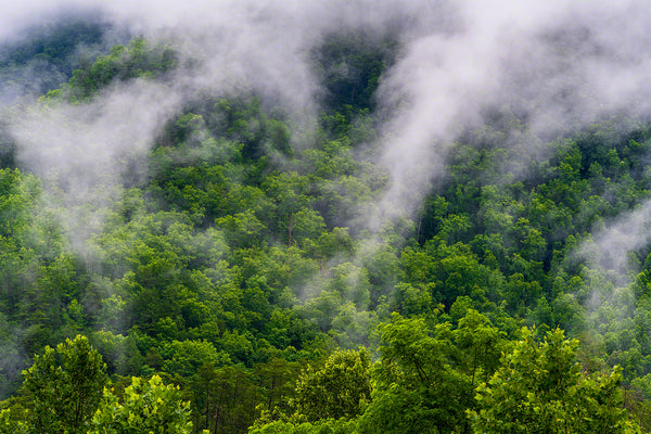 Misty Mountain