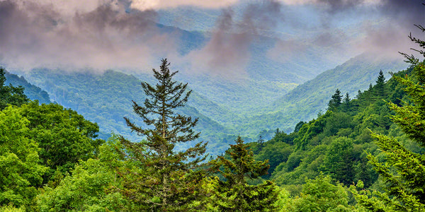Blue Ridge Parkway