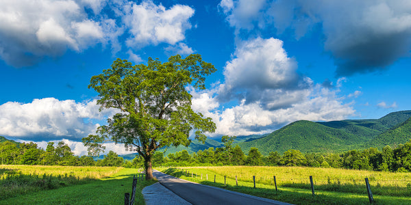 Cades Cove 2