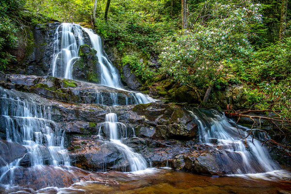 Laurel Falls