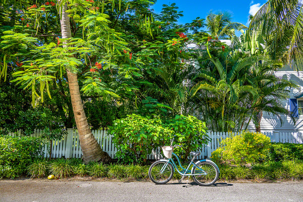 Peddle in Paradise 2