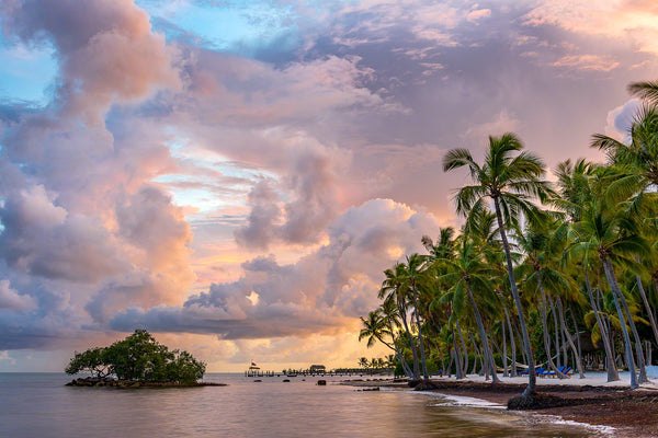 Tropical Dreams