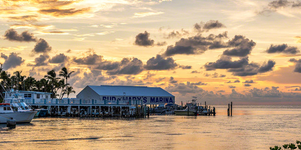 Bud n' Mary's Marina 2