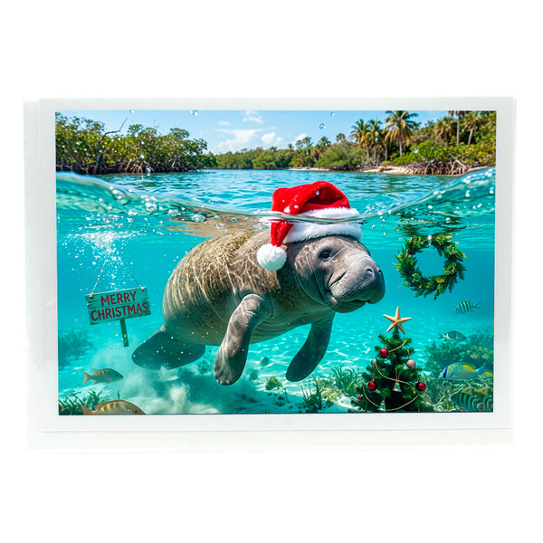 Manatee Christmas Gifts