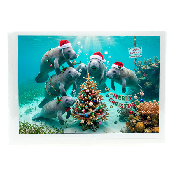 Manatee Christmas 3 Gifts