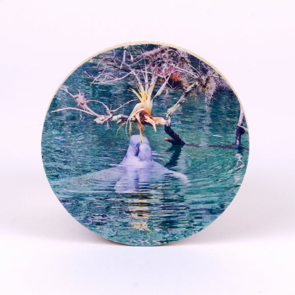 Manatee in the spring photograph on a rubber round home coaster