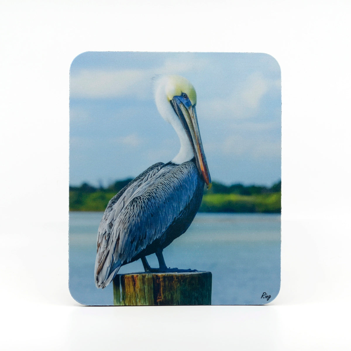 Brown Pelican photograph on a mouse pad