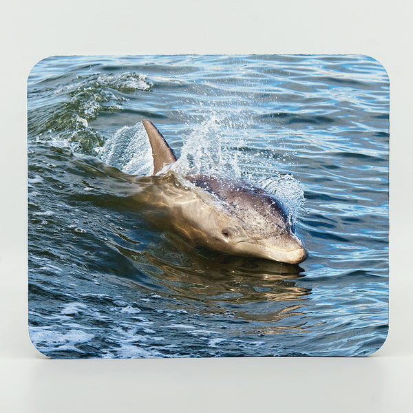 Dolphin swimming in the lagoon photograph on a mouse pad