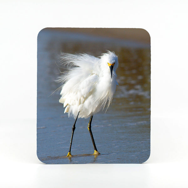Snowy Egret on the beach photograph on a mouse pad