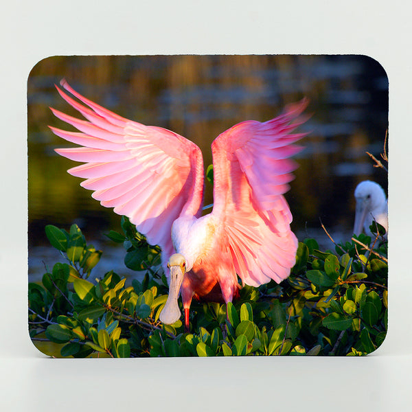 Roseate Spoonbill photograph on a mouse pad