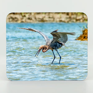 Reddish Egret Photograph on a mouse pad