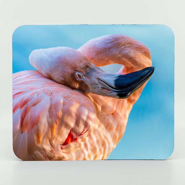 A flamingo sleeping photograph on a mouse pad