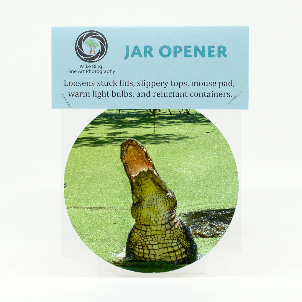 Alligator 10 Gifts