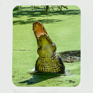 Alligator 10 Gifts