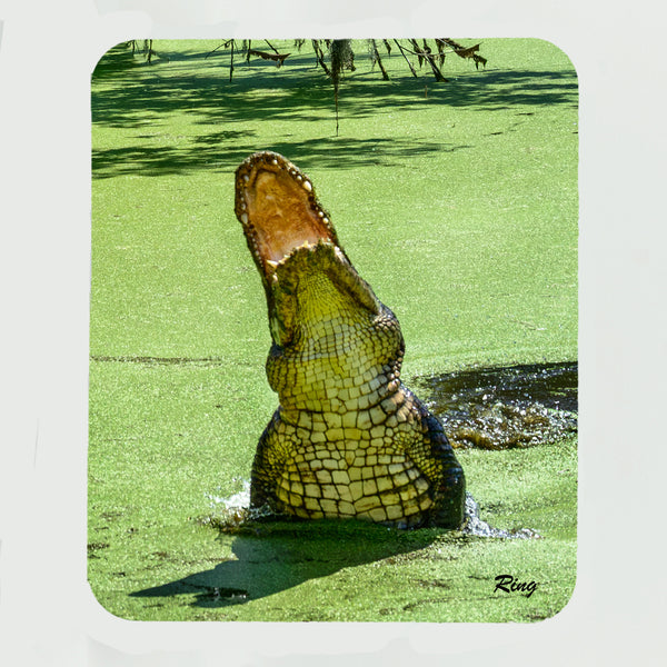 Alligator 10 Gifts