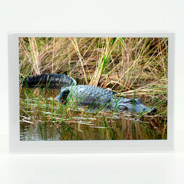 Alligator 2 Gifts