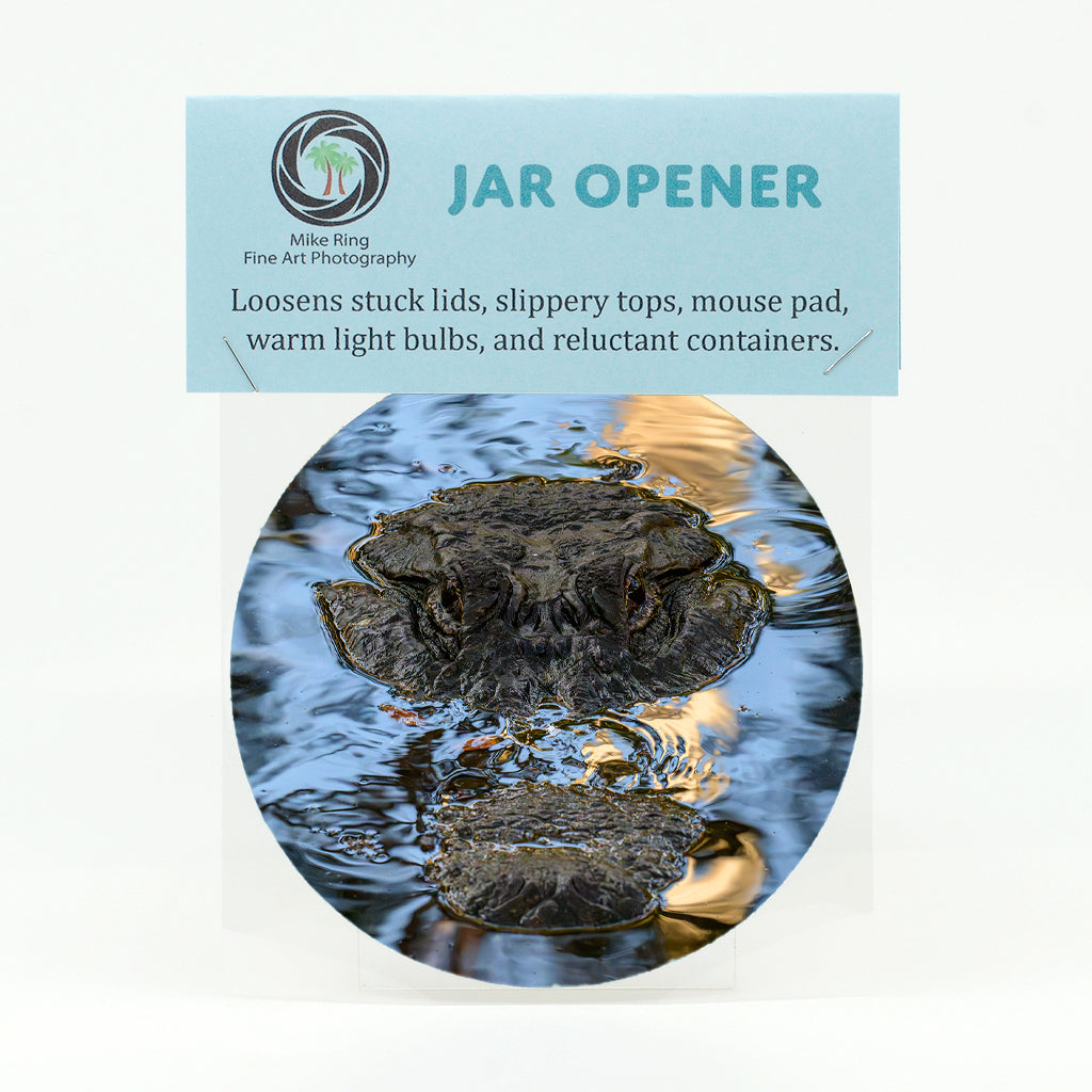 Alligator 9 Gifts