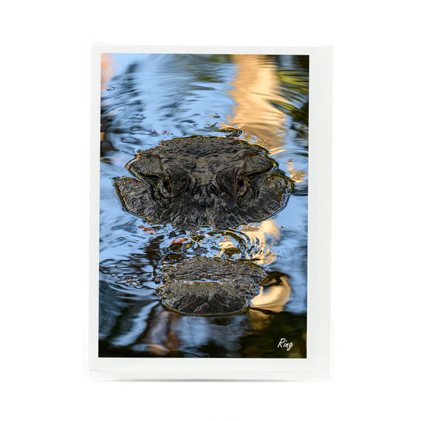 Alligator 9 Gifts