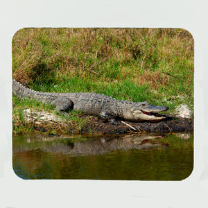 Alligator Gifts