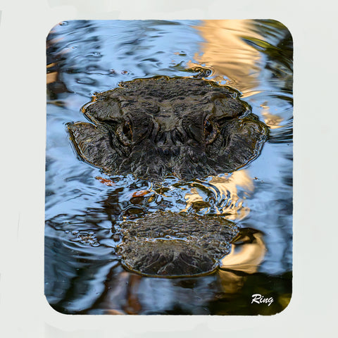 Alligator 9 Gifts