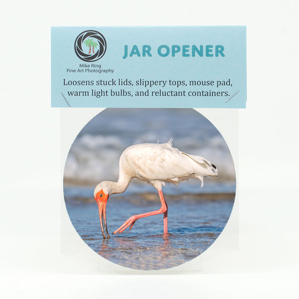 American White Ibis 5 Gifts