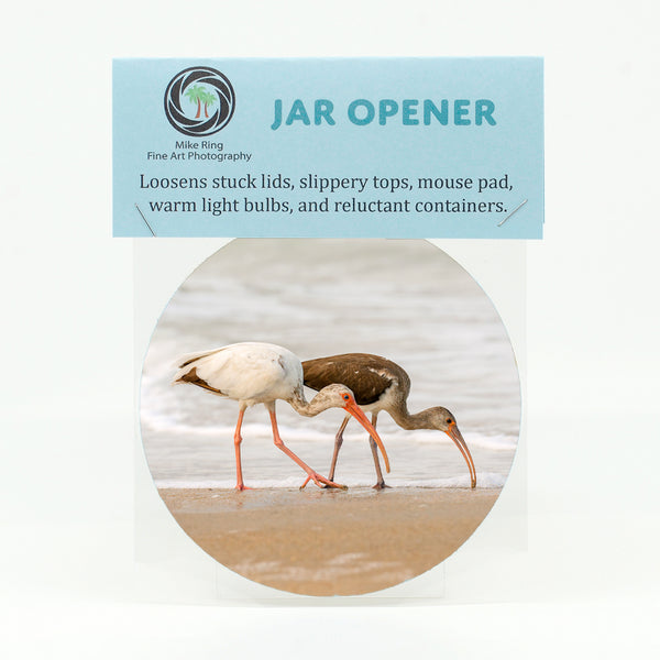 American White Ibis 6 Gifts