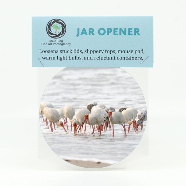 American White Ibis 7 Gifts