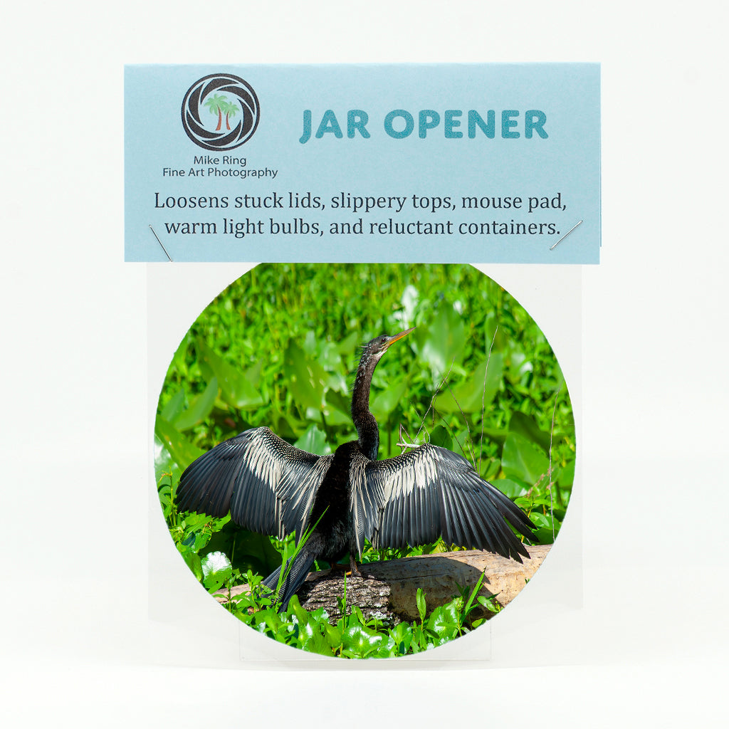 Anhinga 3 Gifts