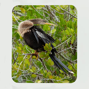 Anhinga Gifts