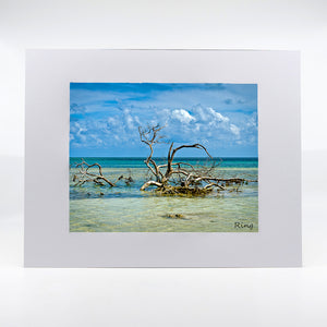 Anne's Beach in Florida Keys photography artwork
