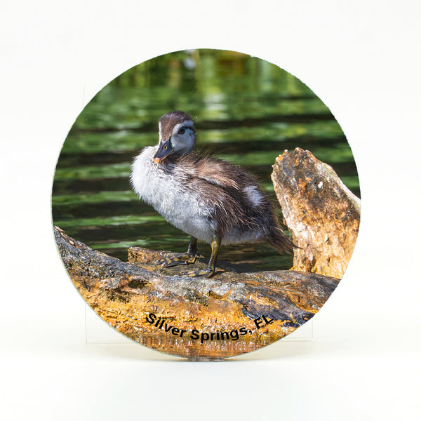 Wood Duck Baby Gifts