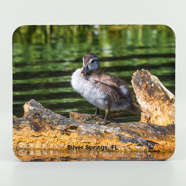Wood Duck Baby Gifts