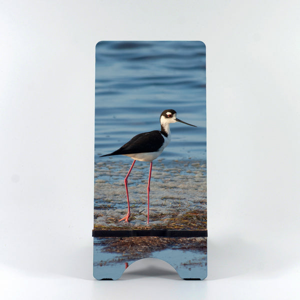 Black-Necked Stilt Gifts